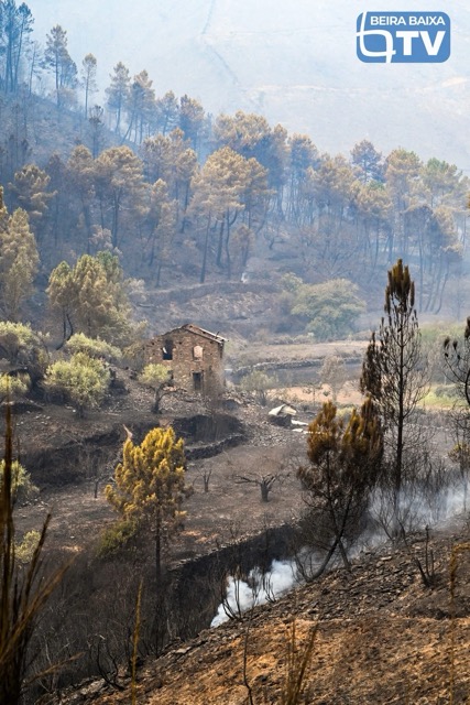 Community members helping each other